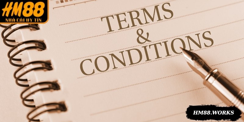 Các quy trình để áp dụng chính sách