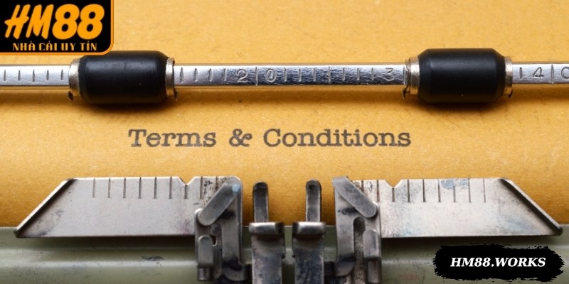 Tìm hiểu thông tin tổng quan về điều khoản điều kiện