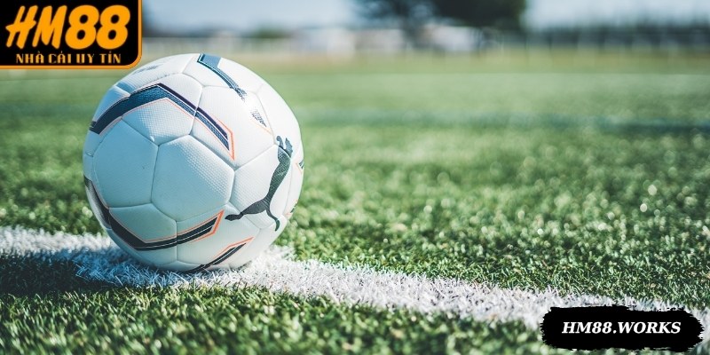 Cập nhật kết quả bóng đá theo thời gian thực, đầy đủ từng thông số